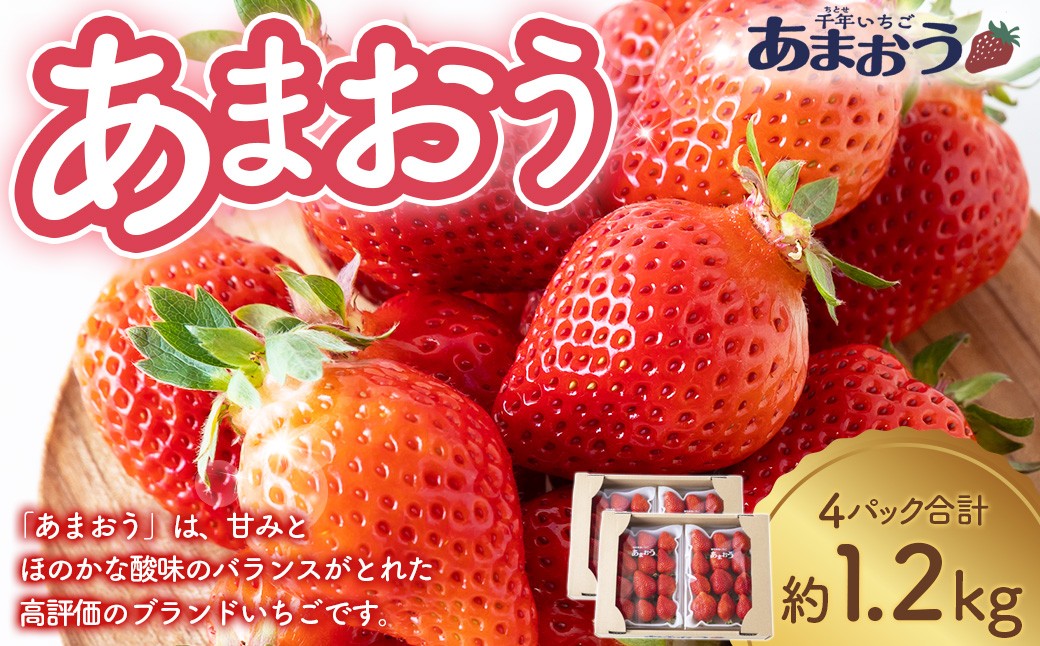 
                  【選べる配送月】千年いちご あまおうイチゴ (300g×4パック)  あまおう いちご イチゴ 苺 フルーツ 果物 冷蔵 送料無料 福岡県 うきは市
                