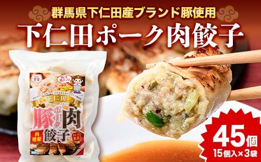 下仁田名産シリーズ「下仁田ポーク肉餃子」 餃子 ぎょうざおかず おつまみ 惣菜 F21K-487