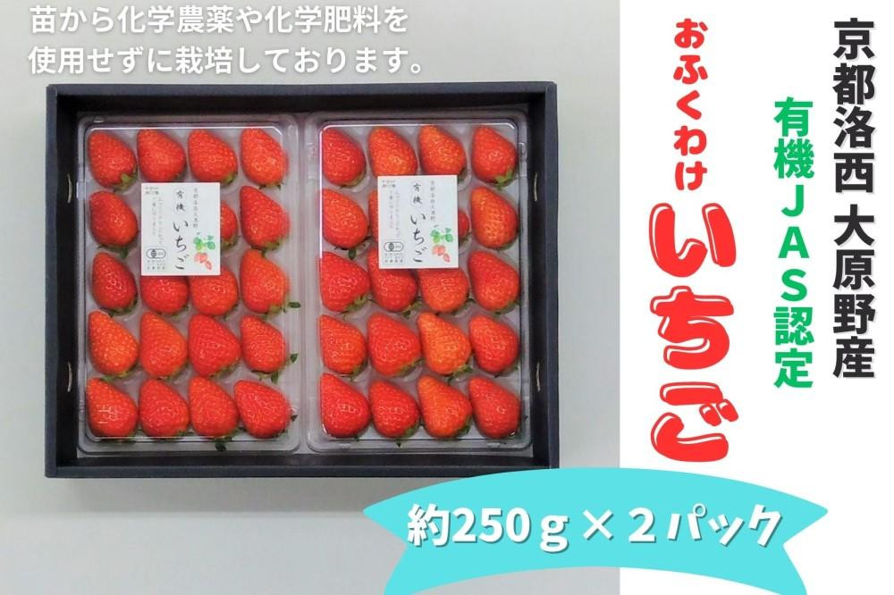 
【オーガニックnico】おふくわけいちご　＜京都洛西大原野産　有機JAS認定＞
