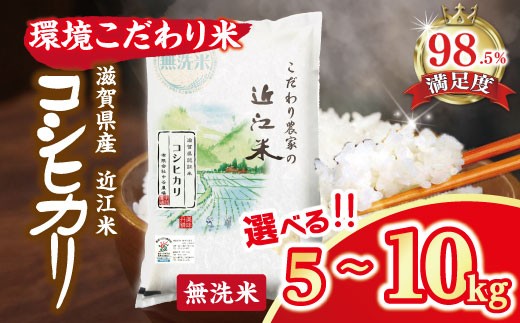 
                  令和7年産 近江米 コシヒカリ 無洗米 5kg / 10kg 選べる 国産 滋賀県 米 中谷農場【BNSKU1】 5kg 10kg 米 こしひかり コシヒカリ おこめ 贈り物 人気米 ご飯 白米 コメ 贈答 滋賀県 近江八幡市 無洗米 環境こだわり米 
                