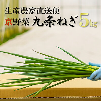 【ふるさと納税】生産農家直送 京野菜・九条ねぎ5kg〈ねぎ ネギ 葱 九条ねぎ 京野菜 京都 新鮮 甘い 農家直送 野菜〉　【野菜 ねぎ 京野菜 九条ねぎ ネギ】