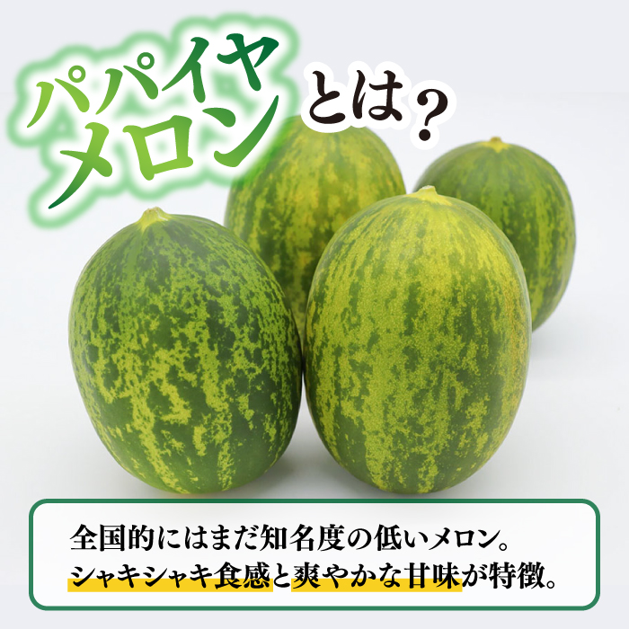 【2025年4月～発送】【いくらでも食べたくなるさっぱりとした甘さ！】南島原名産 パパイヤメロン 約5kg 4玉～7玉 / 南島原市 / 贅沢宝庫 [SDZ034]_イメージ2