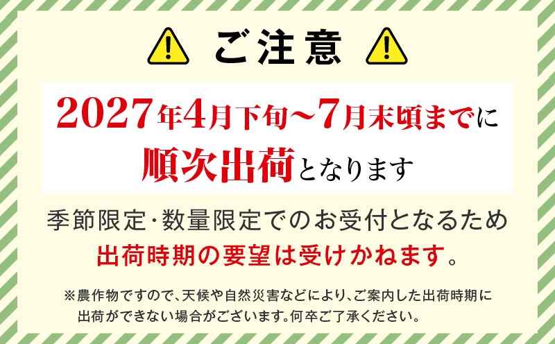 【先行予約 2027年発送分】宮崎県産 完熟マンゴー 2玉 3L_kn119-001-01