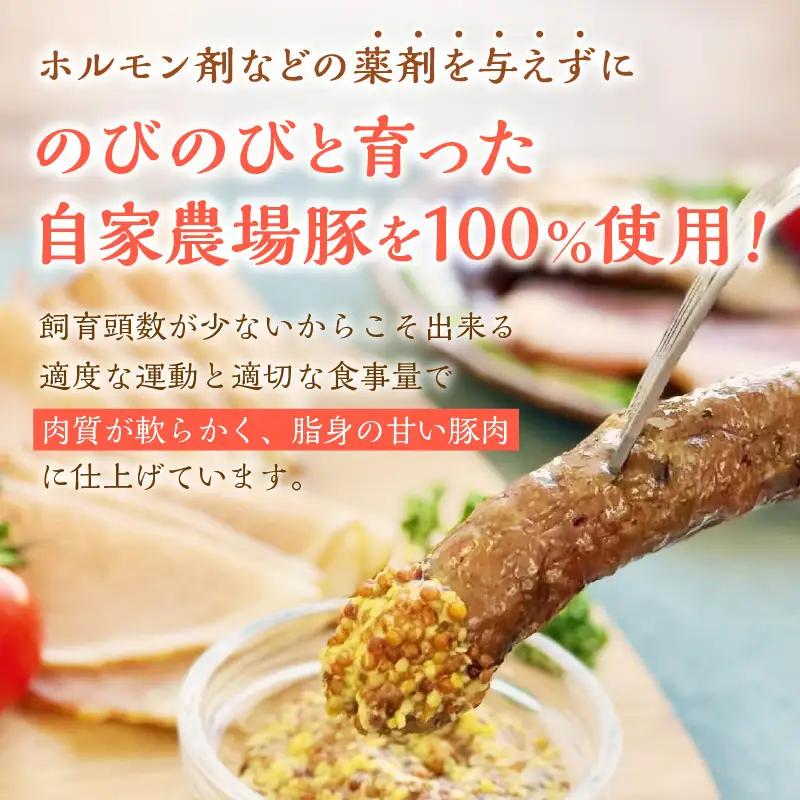 フレンズハム 手造り厳選セット ( お肉 にく ウインナー ベーコン ハム プレスハム ロースハム 生ハム ソフト サラミ 厳選 セット おつまみ 贈答 贈り物 ギフト プレゼント )【047-000