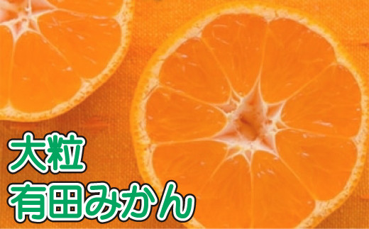 
先行予約 【果汁たっぷり】迫力満点！ 大粒 有田みかん 10kg【2024年11月中旬～12月下旬順次発送予定】【ard055B】
