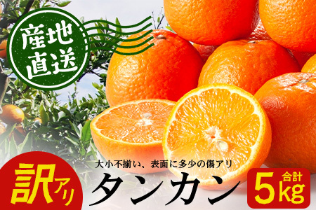 【訳あり】《先行予約》南大隅の太陽浴びた甘くて・おいしい タンカン 約5kg【数量限定】<2026年2月中旬以降順次発送> ID-3｜訳あり 訳アリ たんかん タンカン 柑橘 カンキツ 柑橘類 詰め合わせ 産地直送 先行予約 おすすめ 人気 南大隅町