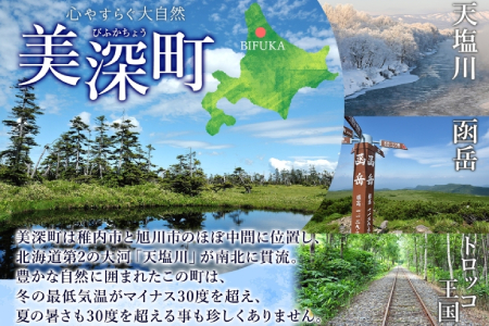 【ふるなびWEEK対象】北海道美深産 天然そばはちみつ 600g 瓶 はちみつ 蜂蜜 みつばち 蜜蜂 ミツバチ そば蜜 ソバ蜜 純粋国産 国産 日本産 生 ミネラル ミネラル豊富 蕎麦蜜 お取り寄せ 
