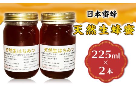 蜂蜜 2本 日本蜜蜂 8月ごろ発送 はちみつ 生蜂蜜