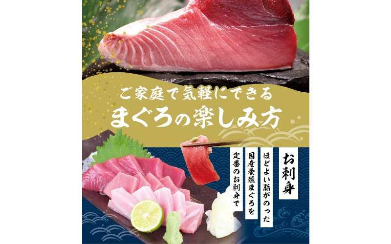 本マグロ 大とろ 200g サク 「プレミア和歌山認定」  和歌山県でも指折りの好漁場で養殖された本鮪です！  南紀串本よしだ本鮪【mhs103A】