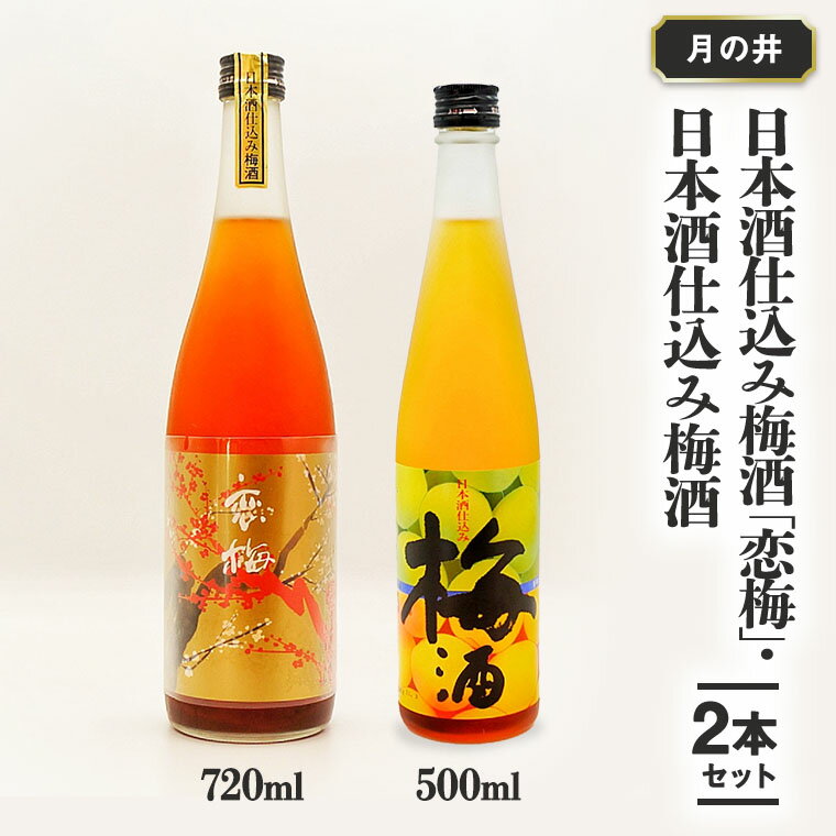 【ふるさと納税】日本酒 仕込み 梅酒 恋梅720ml 梅酒 500ml 2本 セット 月の井 大洗 地酒 国産梅 飲み比べ 茨城