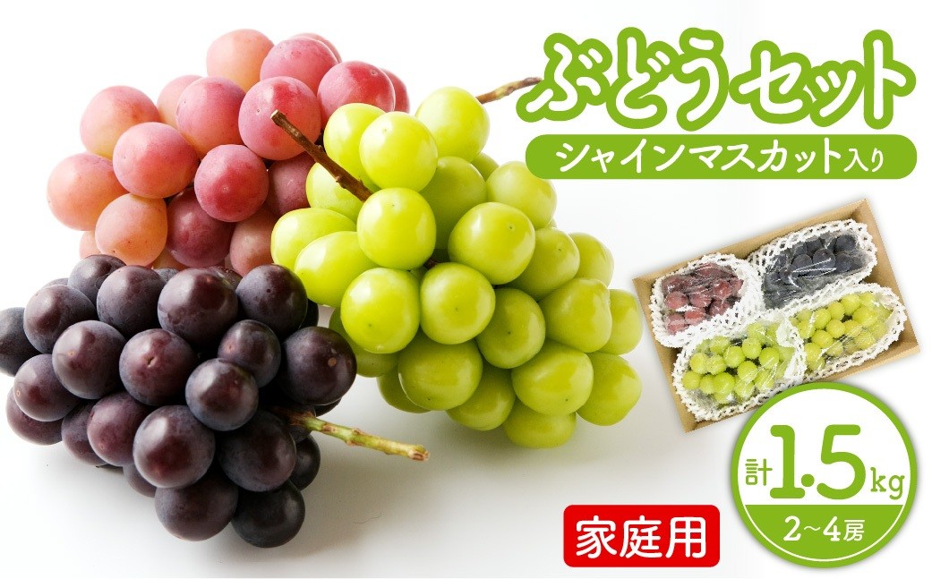 
                  シャインマスカット入り詰め合わせぶどう　１.５ｋｇ　ご家庭用　0065-2604
                