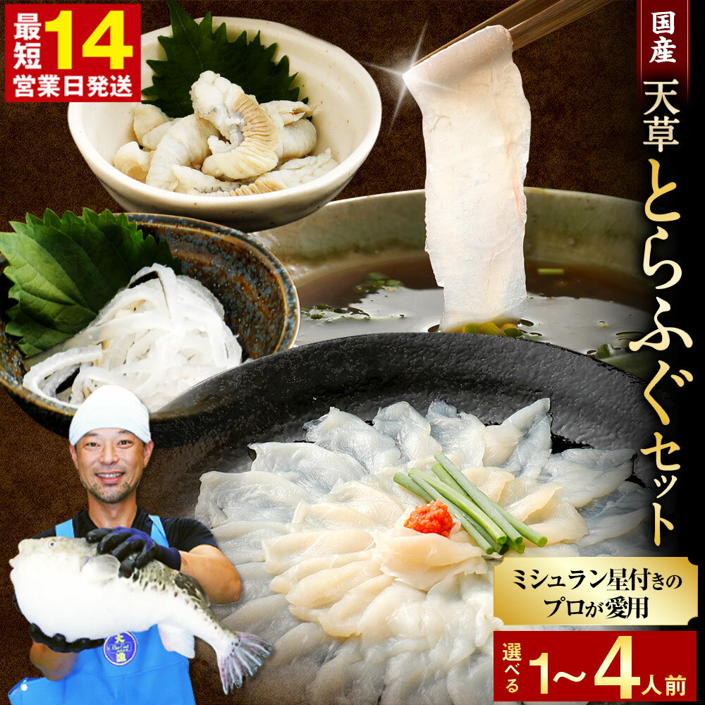 【ふるさと納税】【ミシュラン星付きのプロが愛用】【数量限定】ふぐの王様 国産 天草とらふぐ てっさ・てっちり満腹・贅沢セット 選べる内容量 1〜4人前 河豚 フグ ふぐ鍋セット てっちりセット お刺身 ふぐ皮 ふぐ刺し身 フルコース ひれ酒 熊本県 上天草市 送料無料