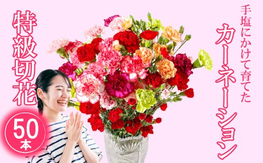 G294p 鮮度が自慢!花農家直送 カーネーション 切り花 50本【黒髪カーネーション&西九州させぼ地域商社 】花ギフト 新鮮 カーネーション 母の日 プレゼント