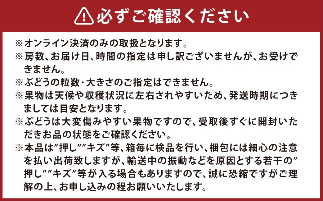 マスカット･オブ･アレキサンドリア 2～3房