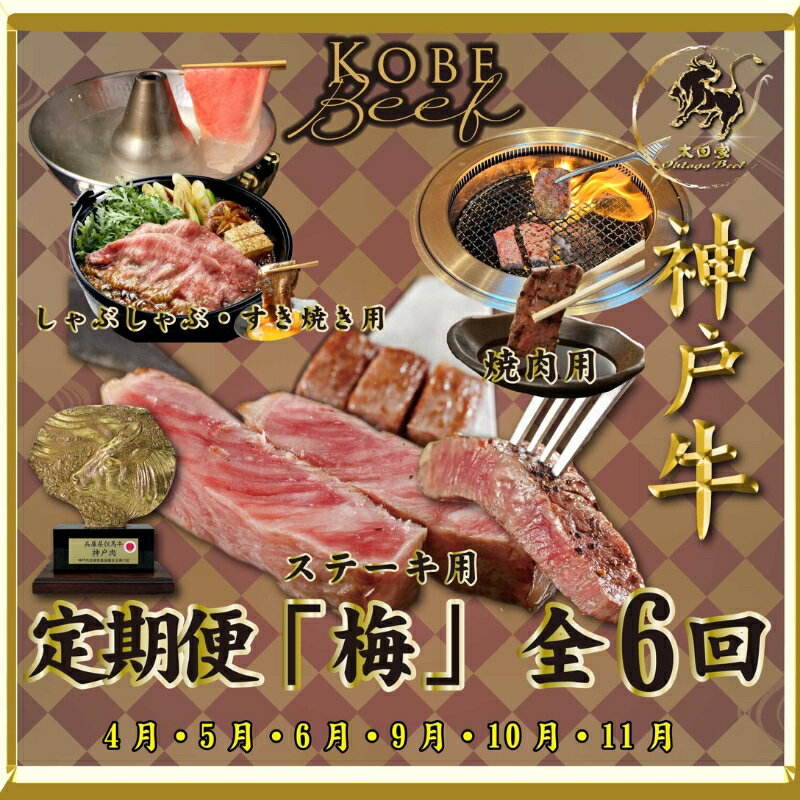 【ふるさと納税】神戸ビーフ IT-「梅」 定期便 「梅」コース(4月～6月・9月～11月お届け) しゃぶしゃぶ すき焼き 焼肉 BBQ ステーキ 神戸牛 食べ比べ 太田家 牛肉 肉 冷凍 神戸肉 兵庫県 伊丹市　お届け：2026年4・5・6・9・10・11月にお届け