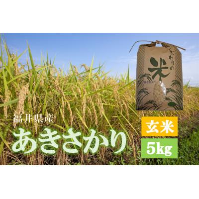 ふるさと納税 越前町 令和7年産　あきさかり(玄米)　5kg