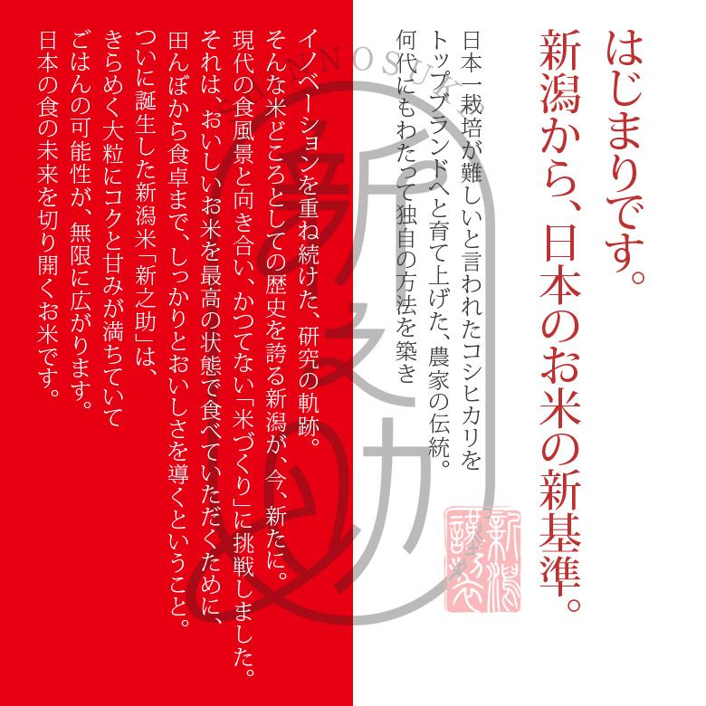 【令和7年産】お米マイスター厳選！魚沼産新之助　４kg(２kg×２)