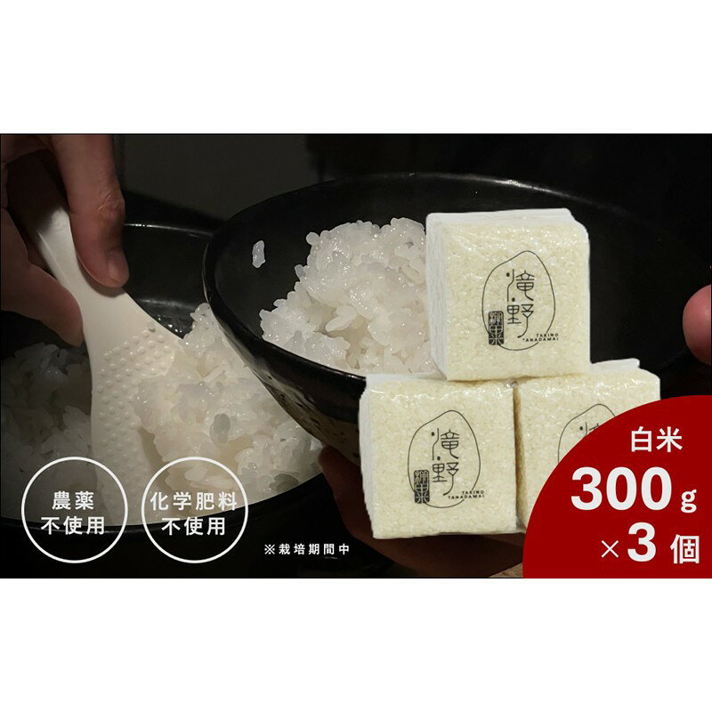 【ふるさと納税】滝野棚田米(白米300g×3個) 211-B1080