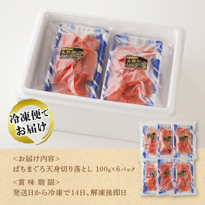 a10-922　【2024年1月以降順次発送】まぐろ天身（筋少なめ）切り落とし（100g×6パック）