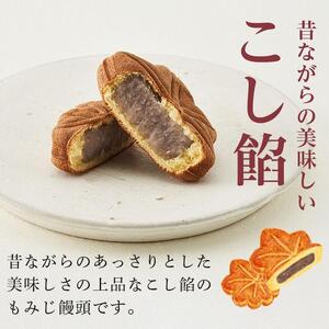 【やまだ屋】もみじ饅頭15個入｜まんじゅう 和菓子 贈答 広島