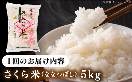 【全2回定期便】【令和6年産新米】【特A】一等米 さくら米（ななつぼし）5kg《厚真町》【とまこまい広域農業協同組合】  米 お米 白米 ななつぼし 特A 一等米 北海道[AXAB078]