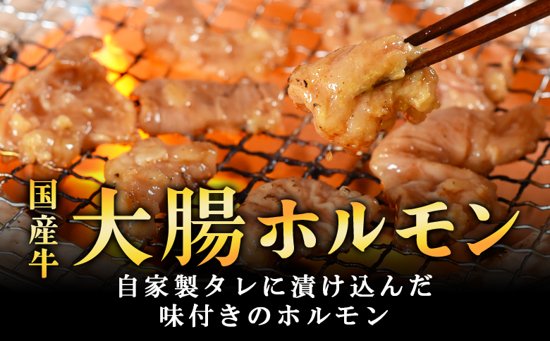 ＜【訳あり】国産牛ホルモン大腸（特製タレ漬け）計1.6kg(400g×4袋)＞大腸を秘伝の特製タレに漬け込みました！【MI024-nk-x1】【中村食肉】