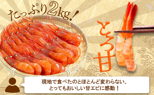 【おまとめ配送】超速リキッド凍結でドリップゼロ！北海道羽幌産生鮮甘えび2kg（200g×10パック）【0312001】 2kg（200g×10パック）