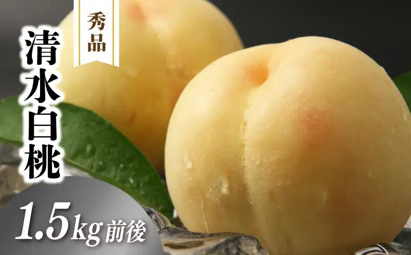 清水白桃 秀品 1.5kg前後 4～6玉 momo02 【配送不可地域：北海道／沖縄県／離島】 【jujy079-01】