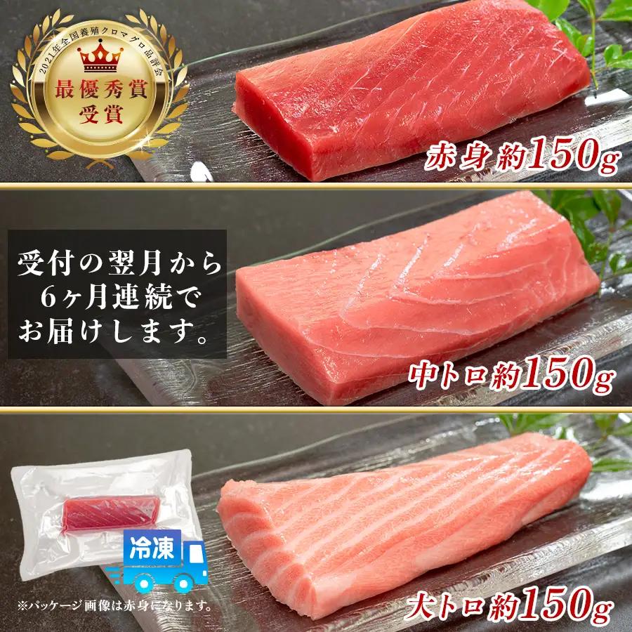 訳あり まぐろ マグロ 本鮪 黒潮本まぐろ 赤身 中トロ 大トロ 定期便 6回 計450g × 6回