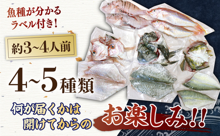 旬の獲れたて鮮魚冷凍4-5種類【株式会社ひらど新鮮市場】[KAB007]/ 長崎 平戸 魚介類 魚 内臓処理済 刺身 たたき 刺身 塩焼き 刺身 漬け丼 刺身 しゃぶしゃぶ 刺身 アレンジ 刺身 冷凍