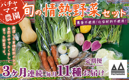 【3ヶ月連続お届け】農園自慢の情熱野菜セット（11品）【 野菜 野菜セット おすすめ 詰め合わせ 定期 定期便 野菜詰め合わせ 野菜 無農薬 野菜 ﾔｻｲ 】