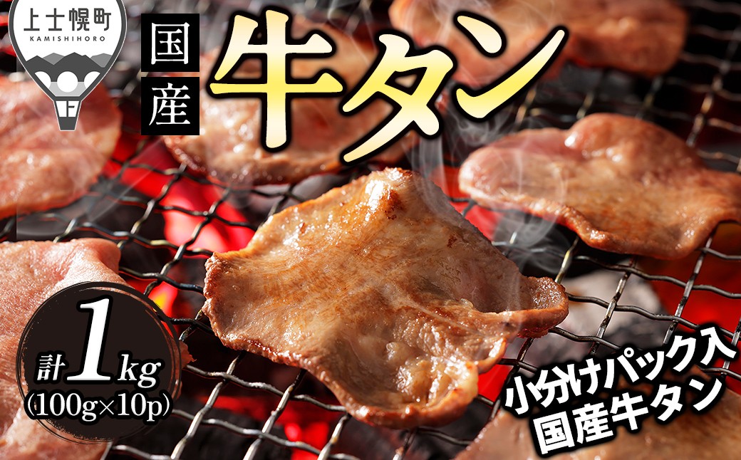 
                  国産 牛タン スライス 焼肉 計1kg（100g×10袋） 薄切り 小分け 個包装 北海道 牛 肉 牛肉 タン キャンプ アウトドア バーベキュー BBQ 冷凍 ドリームヒル ［044-D80］
                