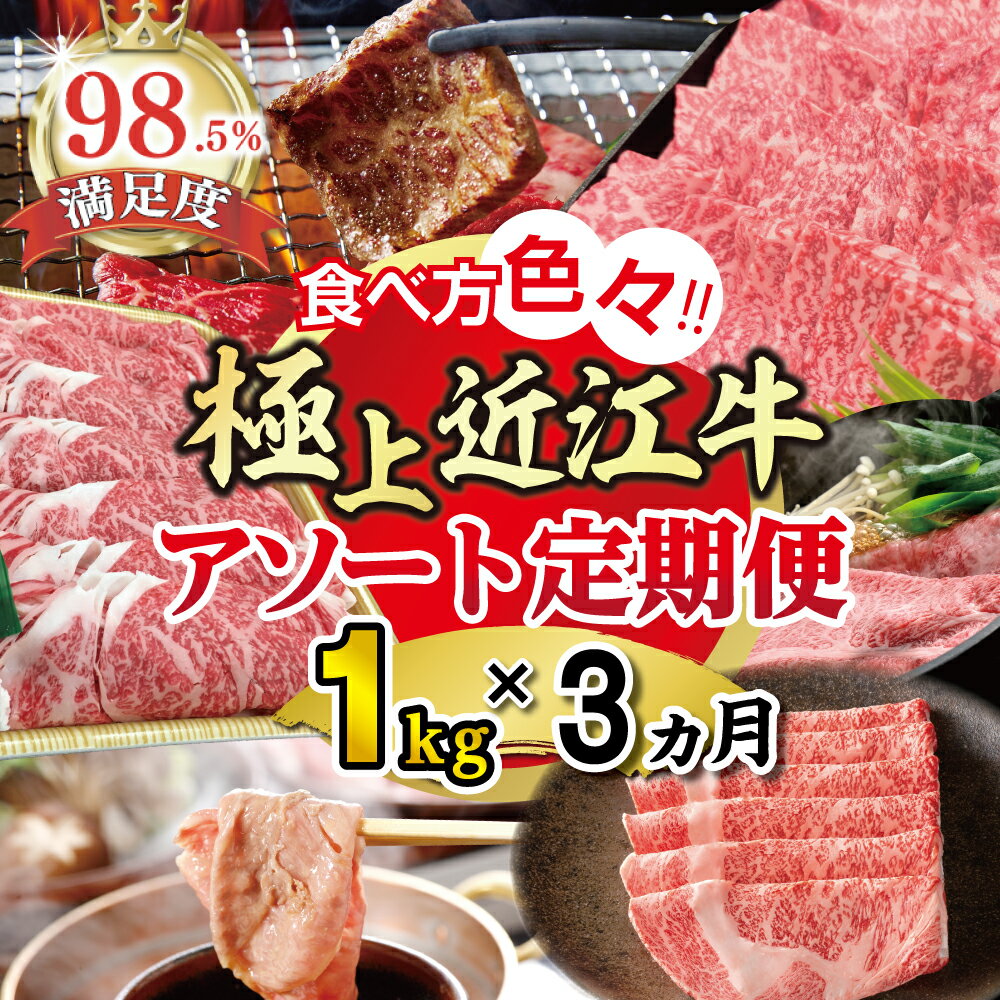 【ふるさと納税】【期間限定】極上近江牛1kg　食べ方色々！アソート定期便国産 牛肉 近江牛 ブランド牛 日本三大和牛 赤身 ロース バラ モモ しゃぶしゃぶ / 焼肉 / すき焼き 食べ比べ