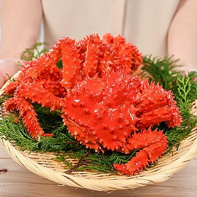 ふるさと納税 根室市 ＜12/21まで年内配送＞★花咲がに500g前後×2尾セット B-80004 |  | 01