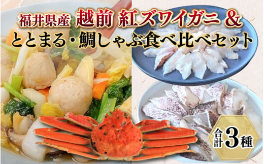 福井県産 越前 紅ズワイガニ&ととまる・鯛しゃぶ食べ比べセット【急速冷凍】（プロトン凍結）