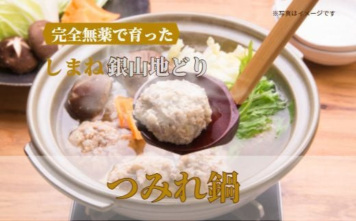 完全無薬で育った 銀山地どりの『つみれ鍋』4～5人前 322032_DM008