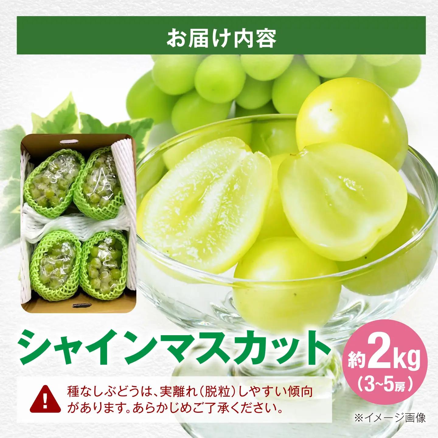 シャインマスカット約2kg シャインマスカット [AGBN006]