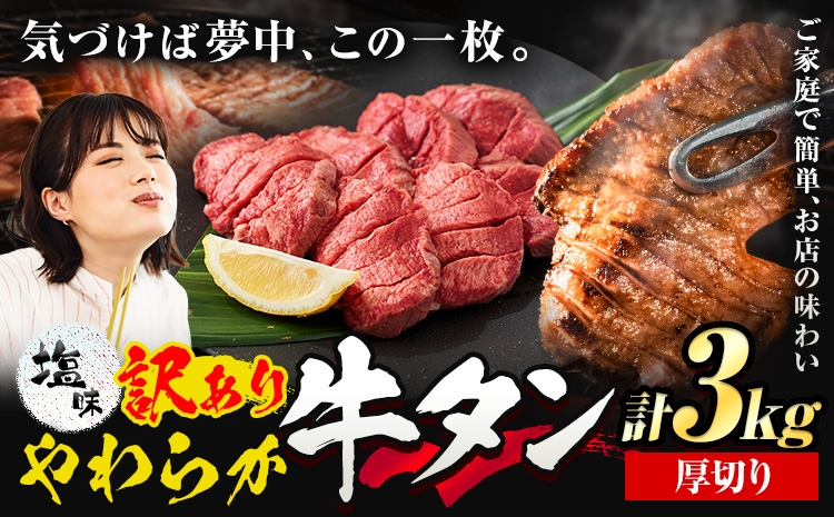 
                  牛タン 厚切り 塩味 3kg 500g×6袋 《30日以内に出荷予定(土日祝除く)》牛肉 肉 牛 たん タン 牛たん 焼くだけ 訳あり 焼肉 焼き肉 熊本県 山江村 厚切り BBQ タン下 塩牛タン 冷凍 味付け肉 一番人気 塩味 お取り寄せ 生活応援企画
                
