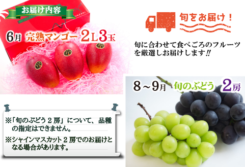 【全2回・フルーツ定期便】小林市産 完熟マンゴー＆旬のぶどう 定期便（フルーツ マンゴー ブドウ シャインマスカット 果物 定期便 2026 宮崎）