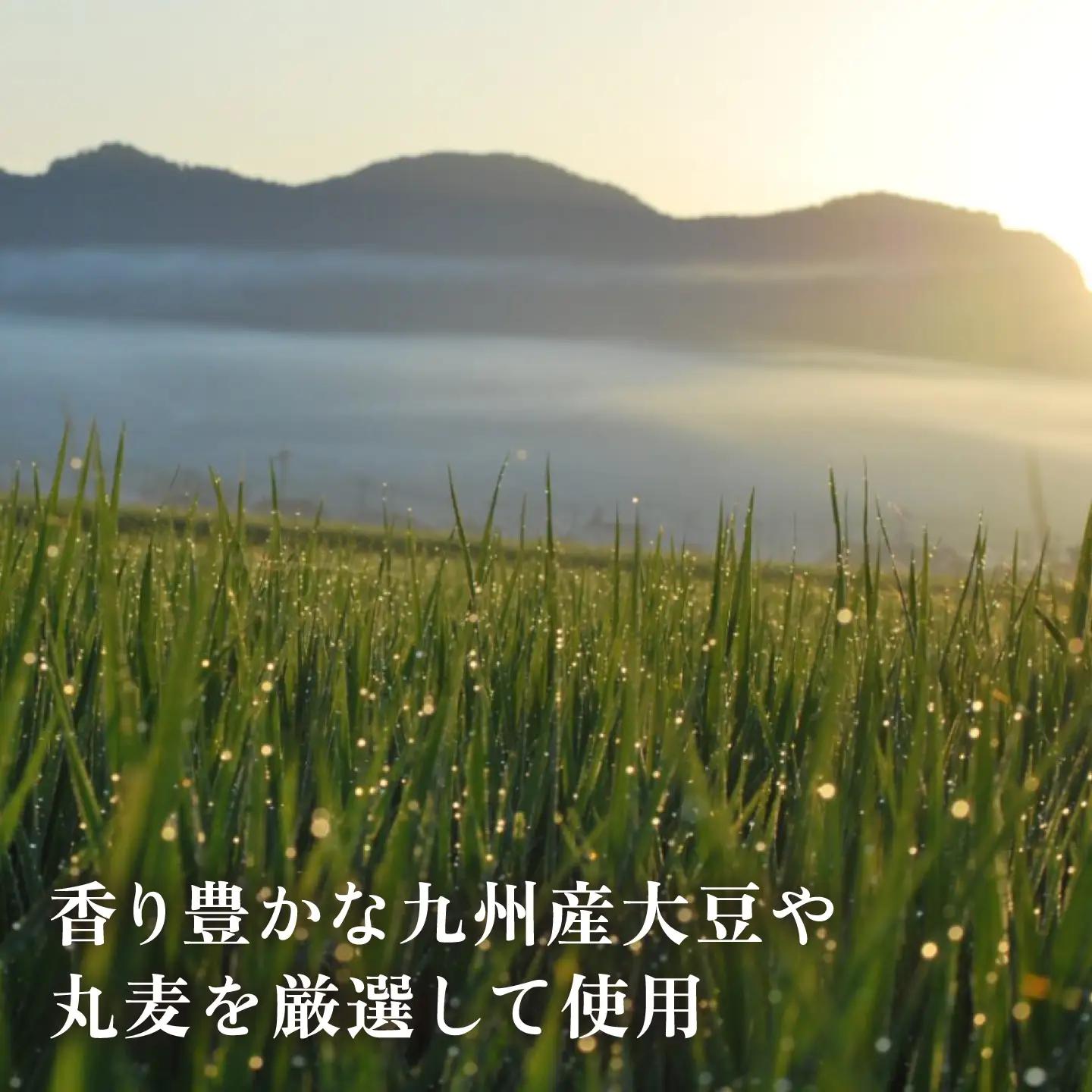 【6回定期便】無添加 国産 蒸し 大豆 合わせ味噌（600g×3）【有限会社 木屋食品工業】[ZAD031]