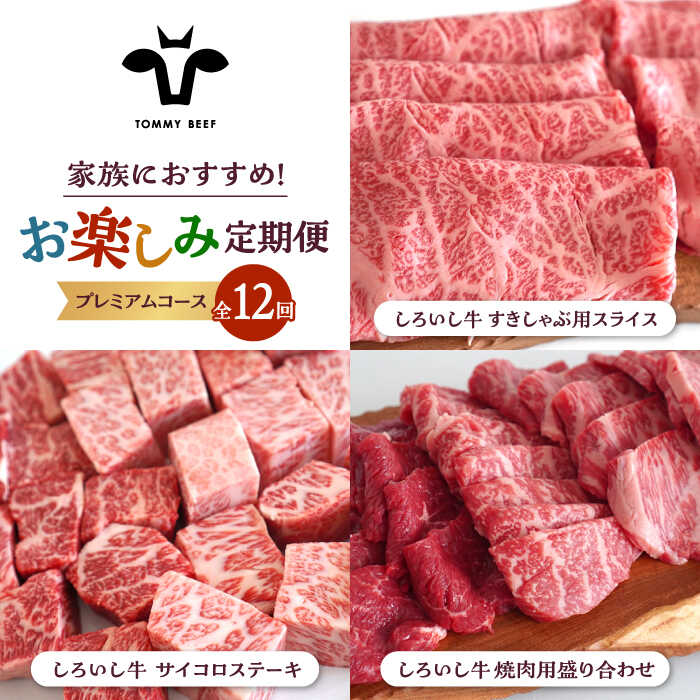 【ふるさと納税】【牧場直送】【12回定期便】しろいし牛 家族向け お楽しみ 定期便（プレミアムコース）【佐賀セントラル牧場】和牛 ランキング 人気 おすすめ 食べ比べ BBQ バーベキュー お肉 牛肉 焼き肉 冷凍 佐賀県 白石町 [IAH214]