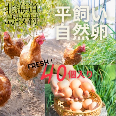 オーガニックファーム・ハッピープレイスの 「ハッピーコッコちゃんたまご」40個入り【配送不可地域：離島】