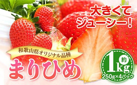 まりひめ いちご 約1kg 250g×4パック 岸武青果株式会社《2025年1月上旬-3月末頃出荷》 和歌山県 紀の川市 1kg 送料無料