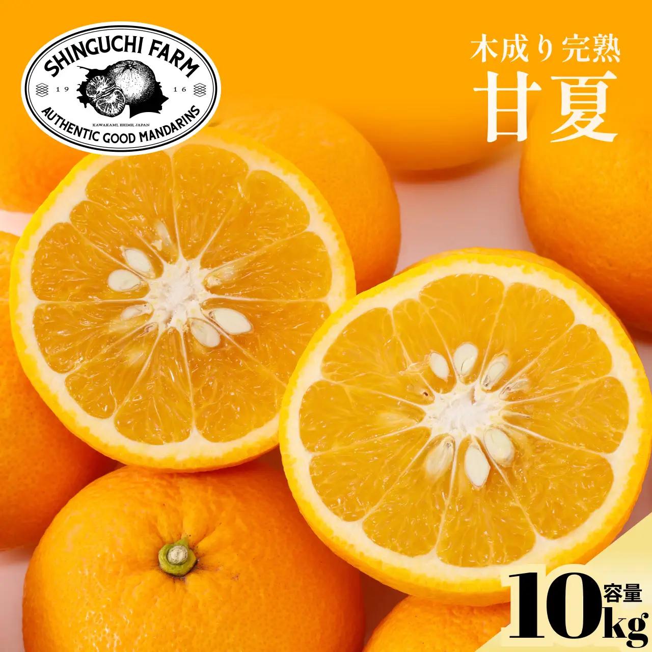 【先行受付 2027年発送】甘夏 10kg 『ほのかな苦味とスッキリした甘み』【C70-27】【1470661】 YWTK027