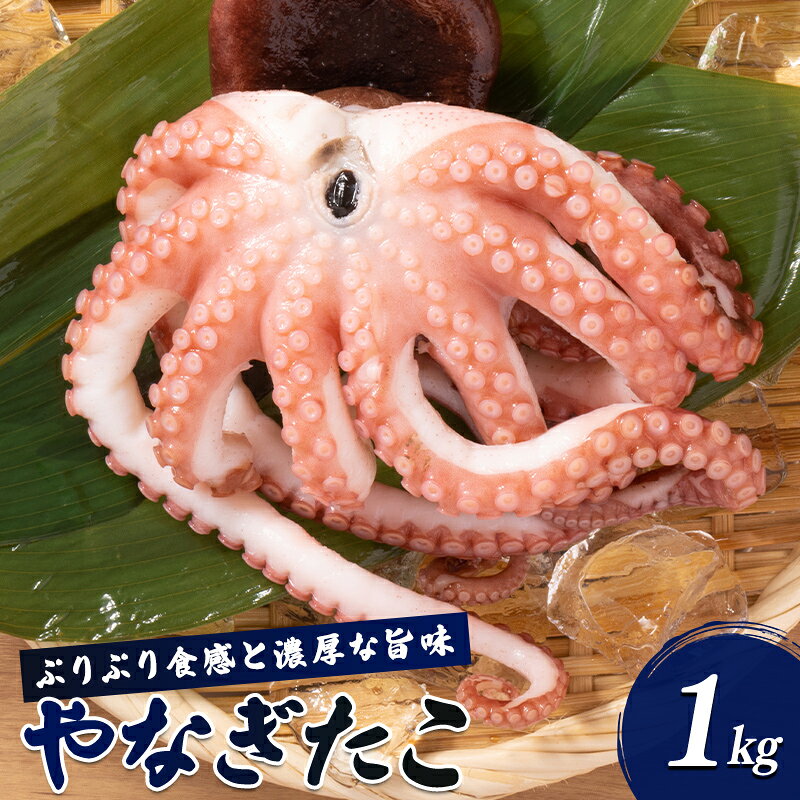 【ふるさと納税】ぷりぷり食感と濃厚な旨み やなぎたこ 約1kg FAI-0150