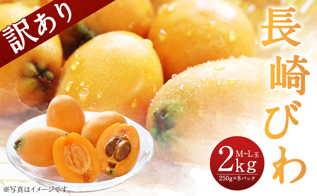 
            【傷ありのため訳あり】 長崎びわ 2kg（250g×8パック） M～Lサイズ 【2025年5月下旬～6月上旬迄発送予定】
          