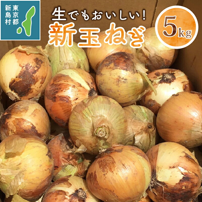 【ふるさと納税】 たまねぎ 玉ねぎ 新玉 5kg 野菜 ハンバーグ 肉じゃが カレー オニオン 東京都 新島産 新玉ねぎ 【2026年4月上旬から順次発送】