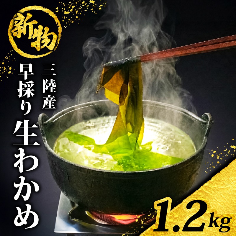 【先行予約】 早採り生わかめ 新物 1.2kg(200g×6袋) 期間限定 ★2026年1月～発送予定★ わかめ 早採りわかめ 生わかめ 三陸 漁師わかめ 小分け 若芽 湯通し 海藻 海産物 味噌汁 ごはん 夕飯 おかず 小分け 個包装 しゃぶしゃぶ サラダ お刺身 刺し身 刺身 綾里 岩手県 国産 大船渡