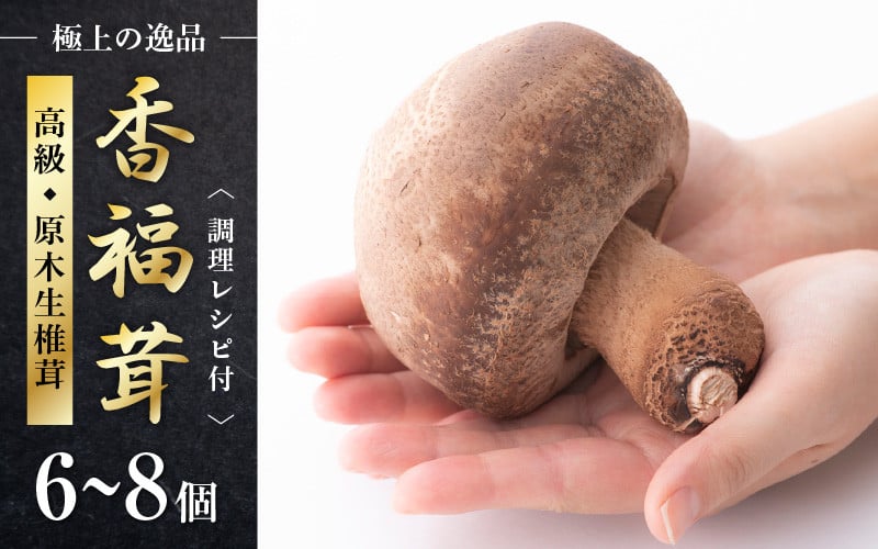 
            食べ甲斐あり大きなシイタケ！ 原木生椎茸「香福茸」6～8個 高級 極上の逸品！調理レシピ有 [e06-b002]
          