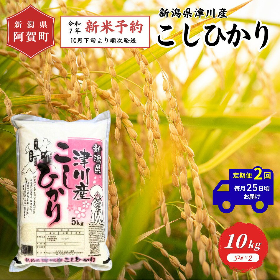 【ふるさと納税】 《先行予約》＜定期便2回＞ 米 10kg 新潟県産 「津川産 コシヒカリ」 令和7年産 5kg × 2袋 | 白米 精米 こしひかり 送料無料 お取り寄せ お米 ※2025年10月下旬頃より順次発送